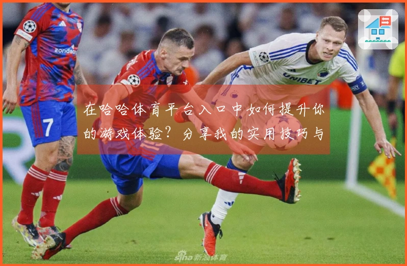 在哈哈体育平台入口中如何提升你的游戏体验？分享我的实用技巧与心得！